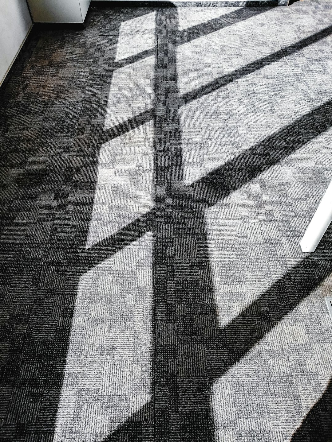 Geometric shadows fall across a textured grey carpeted office floor.